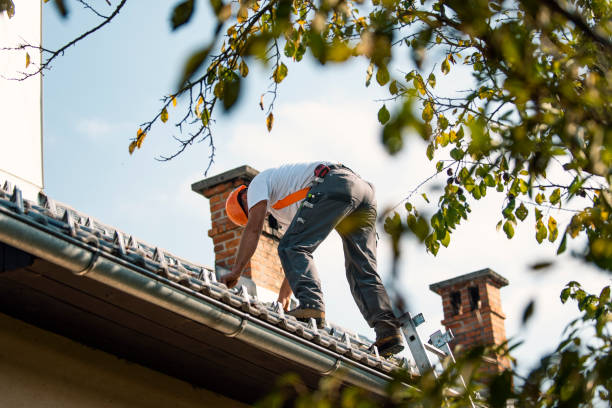 Best Flat Roof Repair Services  in Adamstown, PA